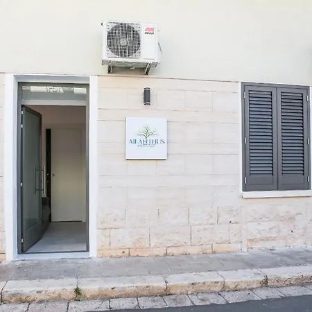 Ailanthus בית הארחה